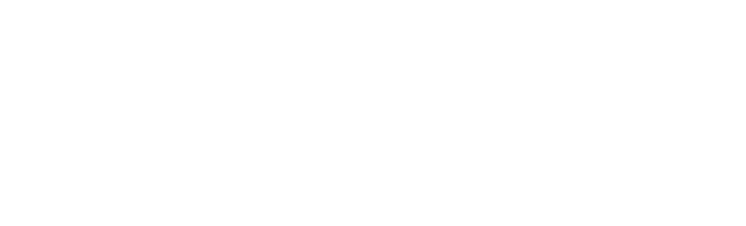 LOGO VIRGO biale poziome